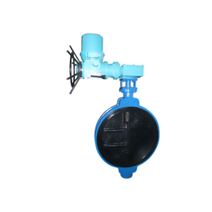 Motorised Electric Operated Butterfly Valve By Shenco Valves Pvt. Ltd.