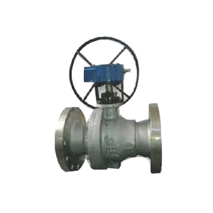 Gear Operated 2 pc Ball Valve