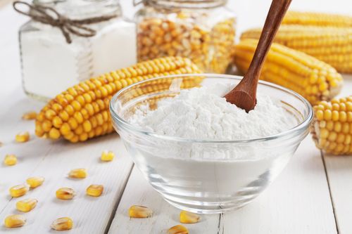 Corn/Maize Starch By SANTOSH STARCH PRODUCTS LTD.