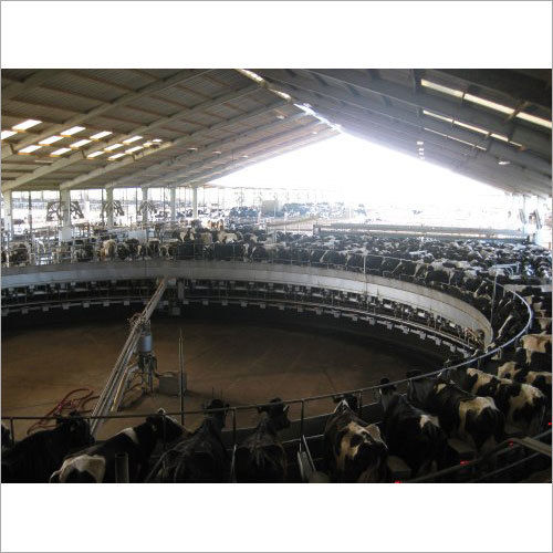 Silver Rotary Milking Parlor