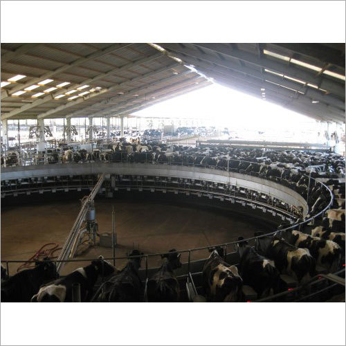 Rotary milking Parlor