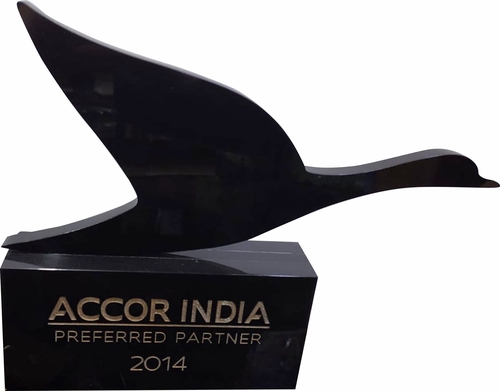 Attractive Designs Precisely Crafted Customized Acrylic Trophy