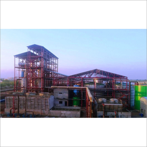 Khandoba Plant