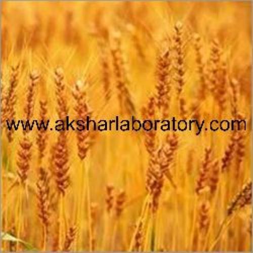 Cereals Testing Services