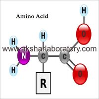 Amino Acid Testing Services