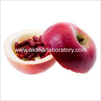 Nutraceuticals Testing Services - Comprehensive Material Testing Facility | Reliable Analysis For All Material Types