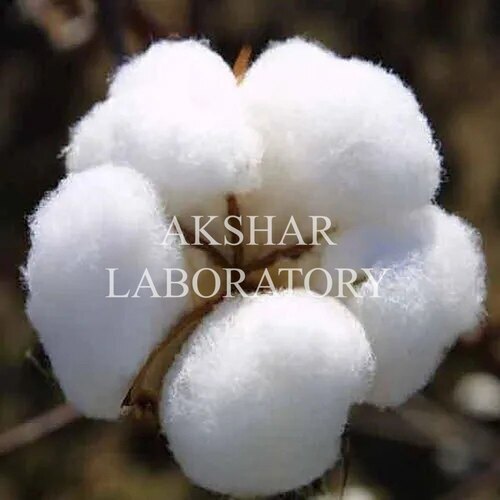 Cotton Fibre Testing सेवाएं