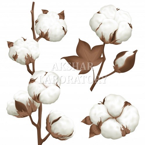 Cotton Testing सेवाएं