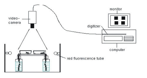 Labcare Export Insect Activity Recorder