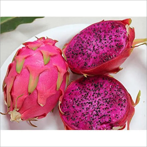Dragon Fruit By VISION GLOBAL