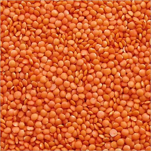 Red Lentils By VISION GLOBAL