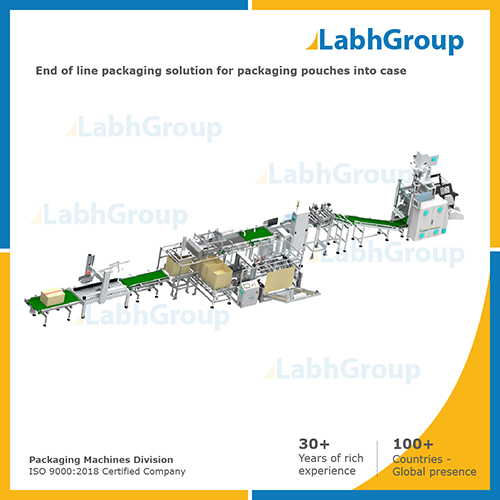 End Of Line Packaging Solution For Packaging Pouches Into Case