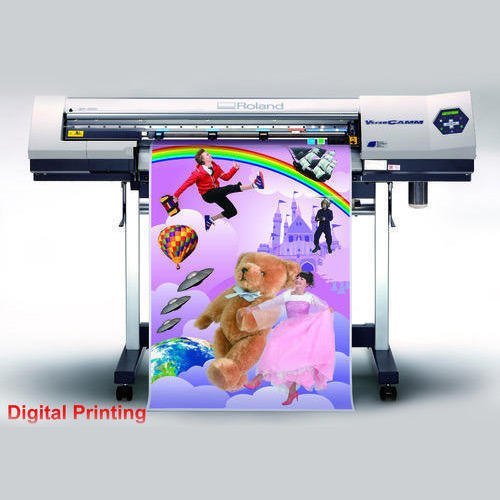 Any Color Digital Flex Printing Services