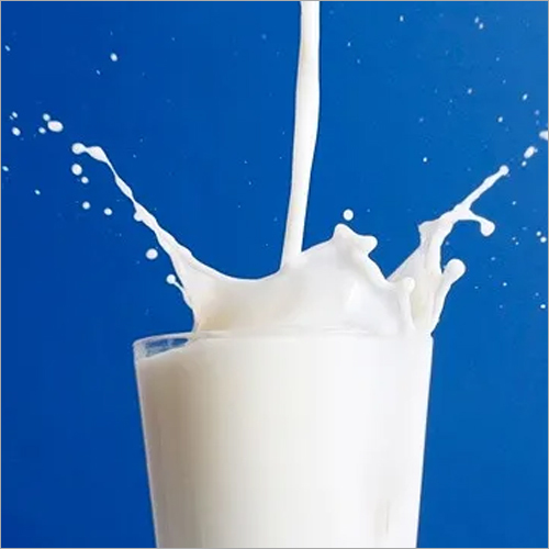White Cow Milk