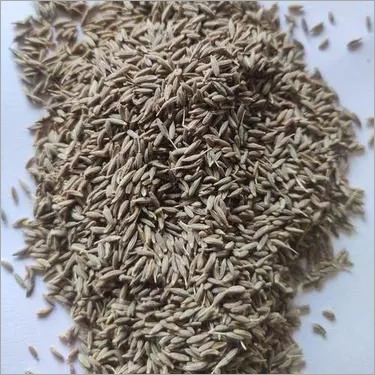 Cumin Seed