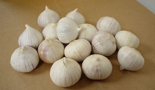 Single Clove Solo Garlic