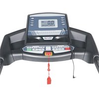 AF 430 Motorized Treadmill - (NS)