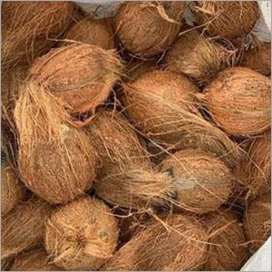 Semi Husked Coconut - Variable Size, Brown Color | Moisture Content 10-12%, Ideal for Culinary Uses, Coconut Milk & Copra Production