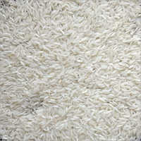 PR14 Raw Steam Rice