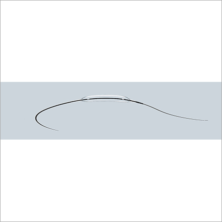 PTCA Dilatation Catheter