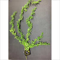 Artificial Foliage