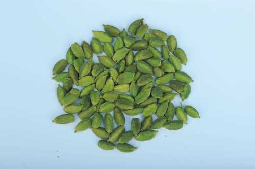 Organic green cardamom wholesale with best price