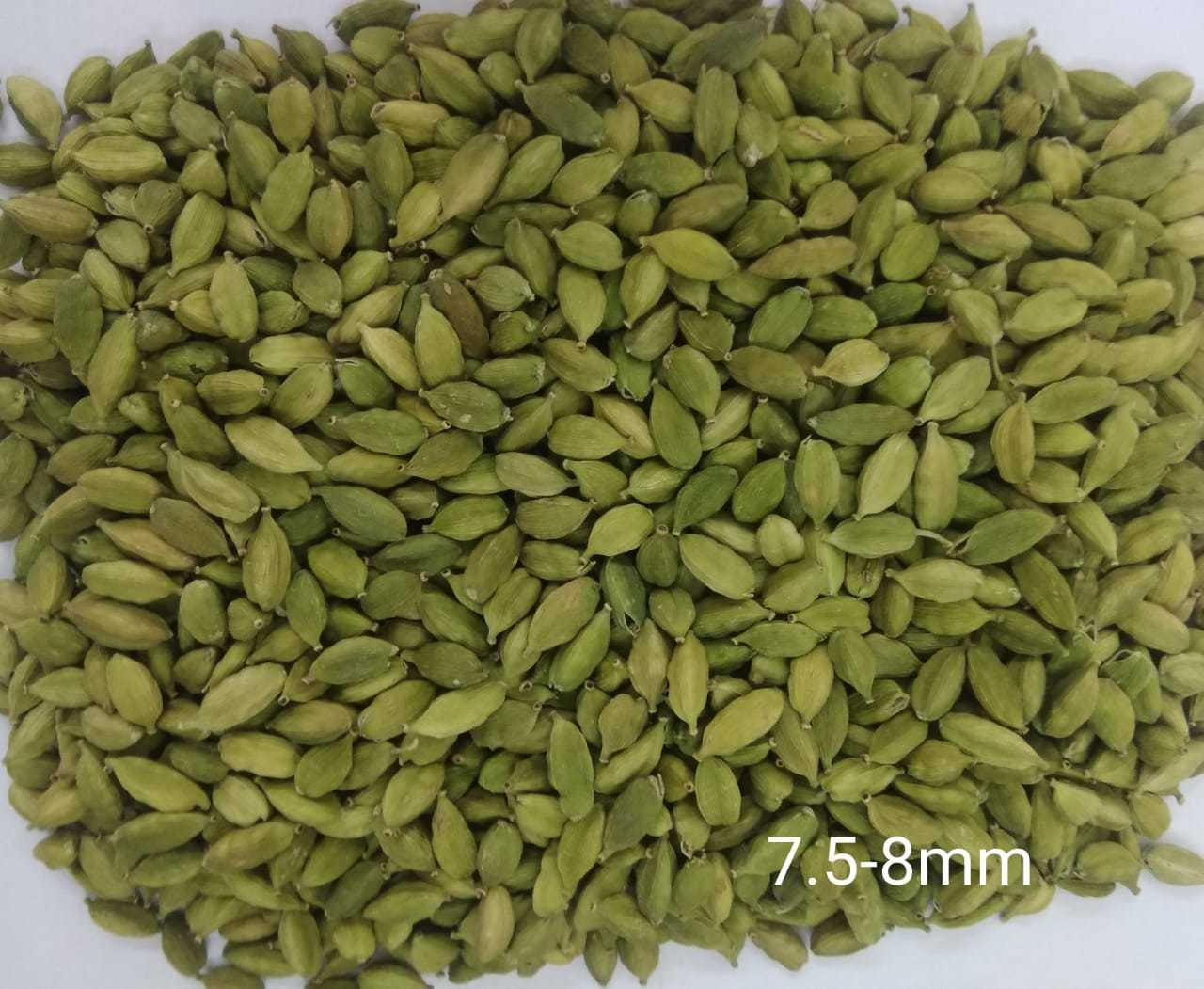 Green Cardamom new crop