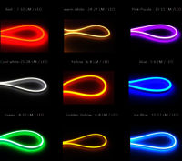 LED Neon Flex Light