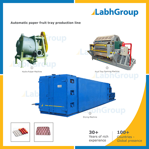Paper Fruit Tray Making Machine - Production Machine