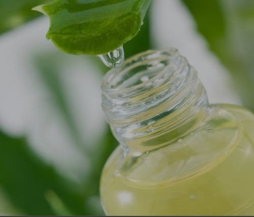 Aloe Vera Liquid  Extract
