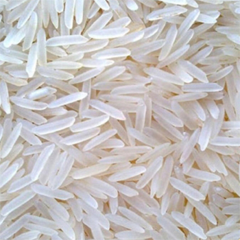 1121 White Sella