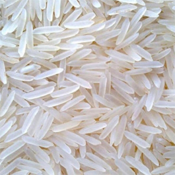 1509 White Sella