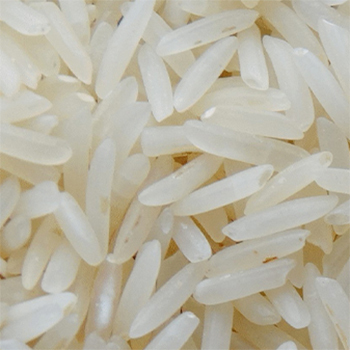 Sharbati Basmati Rice