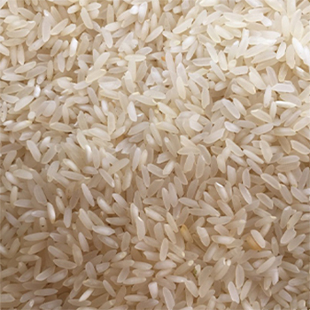 Sona Masoori Rice