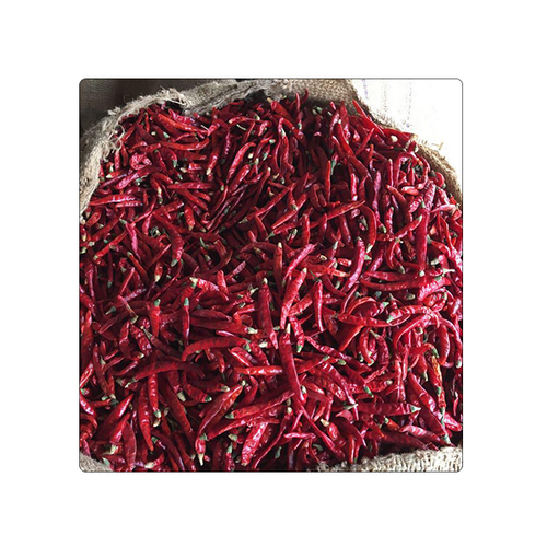 Indian Dry Teja Red Chilli S17 Grade: Top Grade