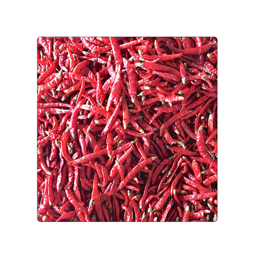 Dry Red Teja S17 Chilli