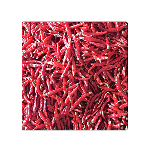 Dry Red Teja S17 Chilli - Whole Form, 6 to 8 cm Length, Bright Red Color | Top Grade Quality, Spicy Flavor, Long Shelf Life of 24 Months