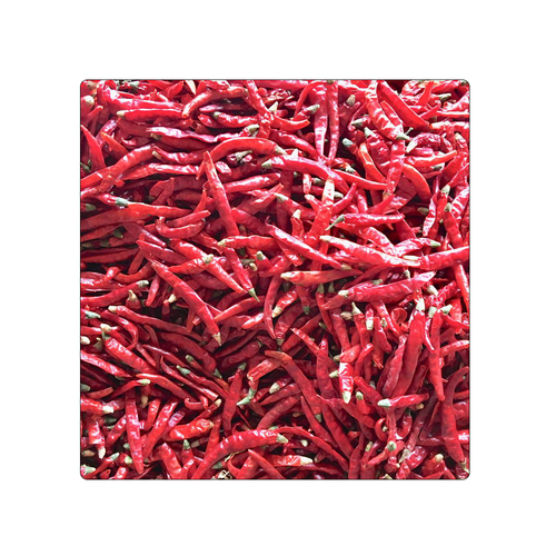 Dry Red Stemcut Teja S17 Chilli Grade: Top Grade