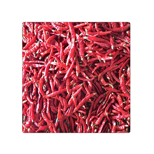 Whole Dry Red S17 Teja Stemcut Chilli Grade: Top Grade