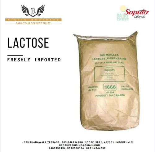 Lactose Powder