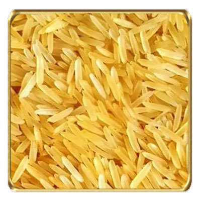 1509 Golden Sella