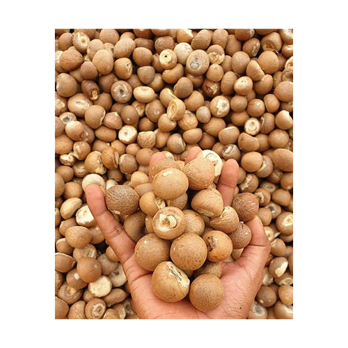 Betel Nuts Available For Sale At Affordable Prices