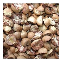 Betel Nuts Available For Sale At Affordable Prices