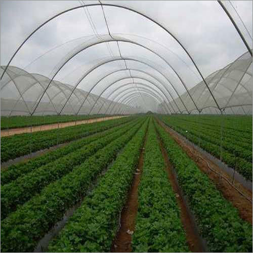 Green Garden Shade Net