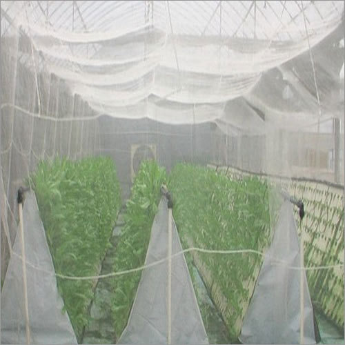 Agriculture Insect Net