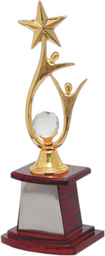 Brown Glossy Metal Trophies