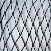 Bird Net