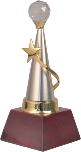 Crystal With Star Metal Trophies