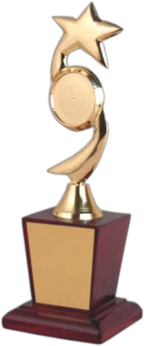 Brown Wooden Base Metal Trophies