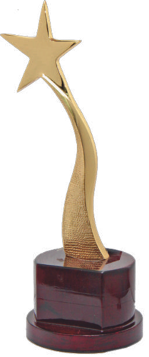 Glossy Metal Trophies
